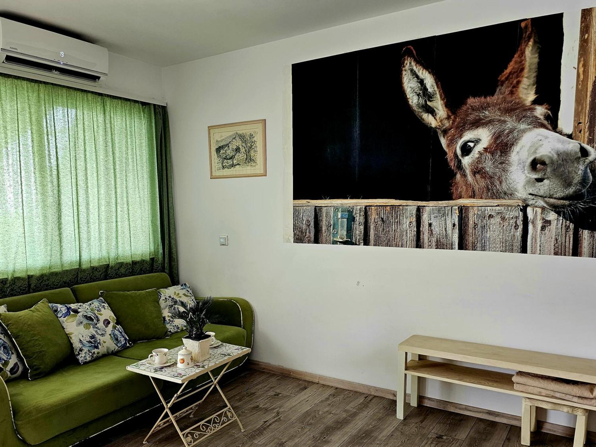 Apartment With A Magical View Split Ngoại thất bức ảnh